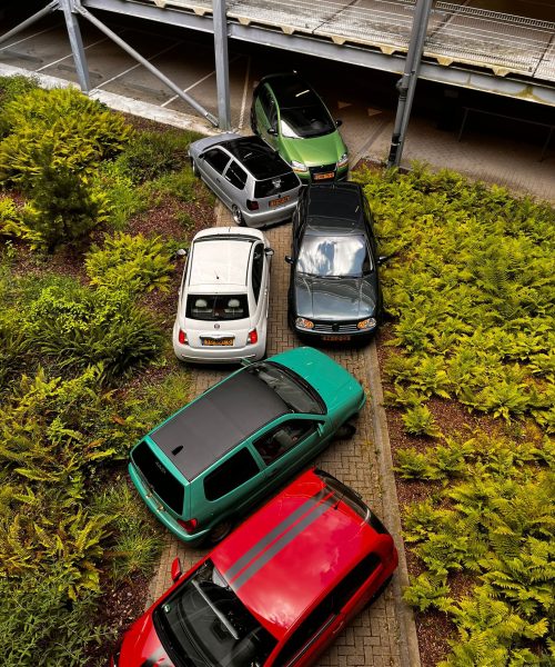 Join Novex img 20260319 wa0029