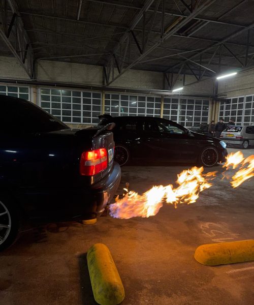 Join Novex img 20260319 wa0054